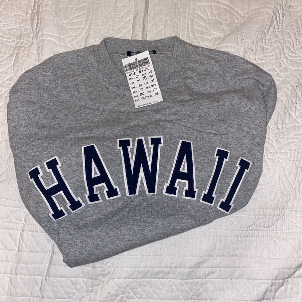 Brandy Melville HAWAII Crewneck